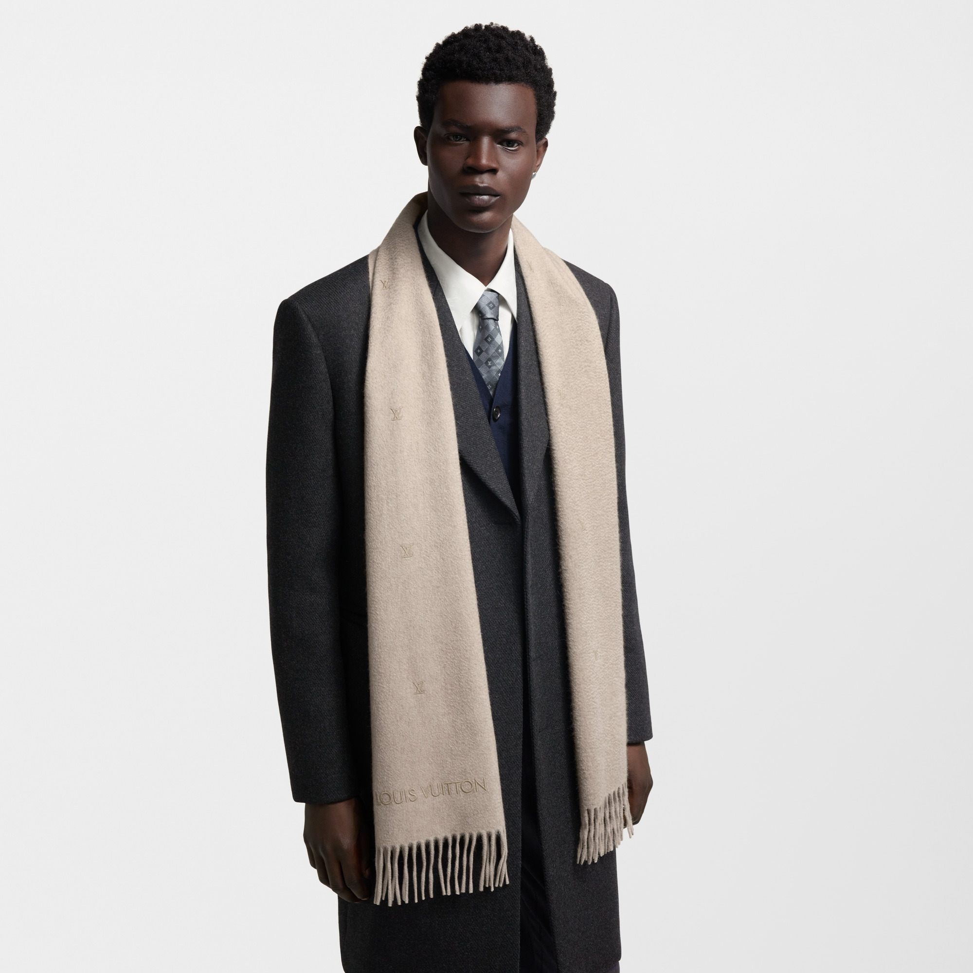 LV Blason Embroidered Scarf - 4