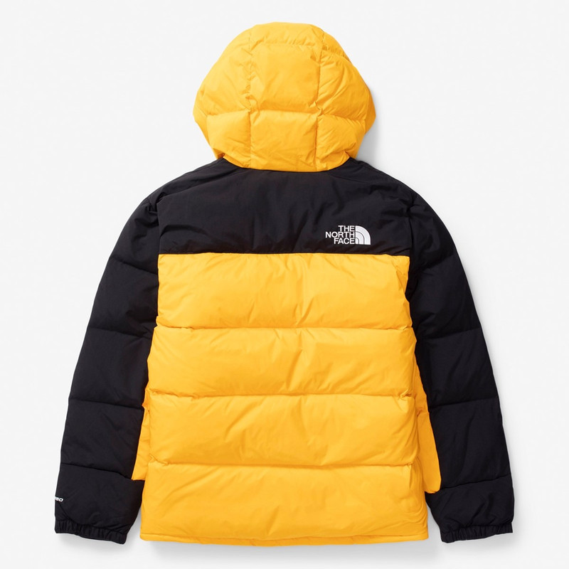 The North Face Hmlyn Down Parka outlook