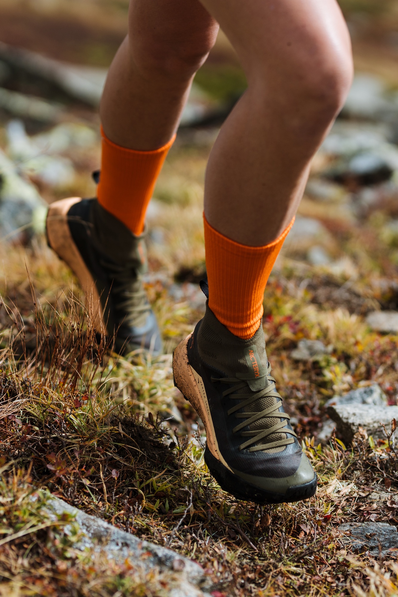Vertex Speed Shoe - 4