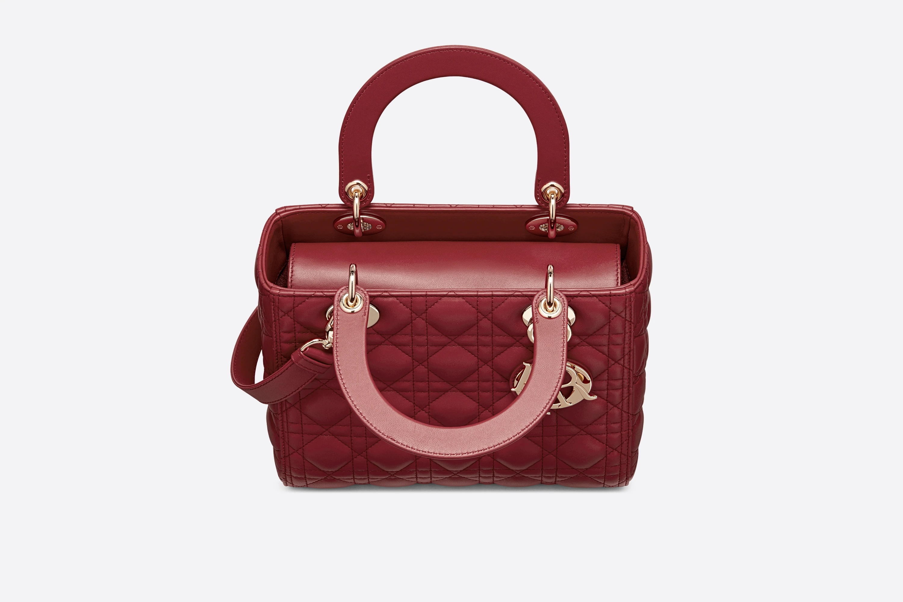 Medium Lady Dior Bag - 3