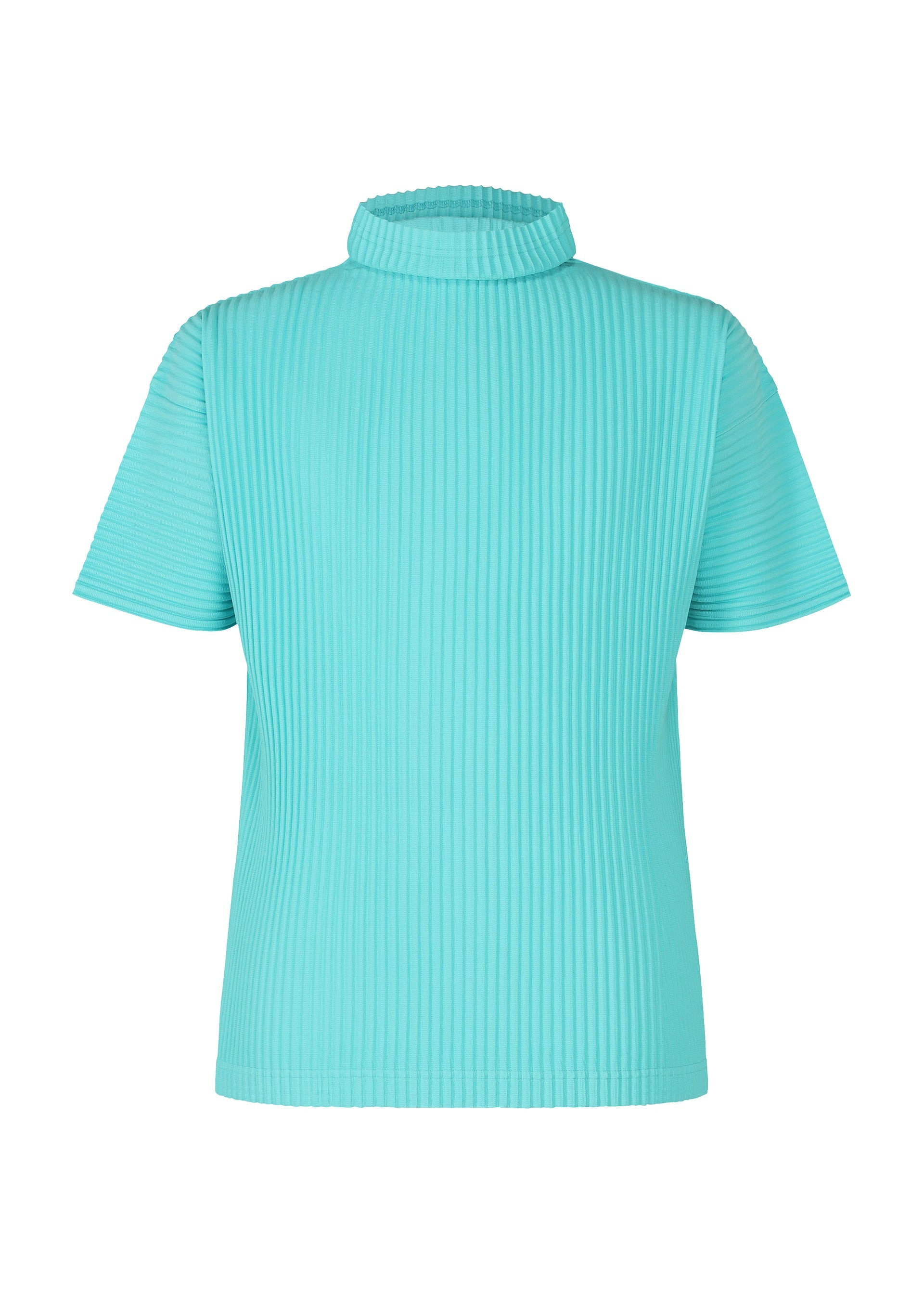 COLOR PLEATS - 1
