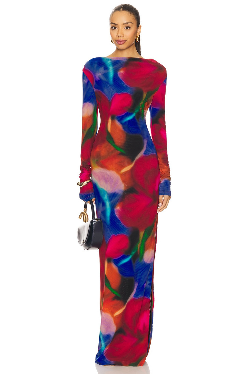 Cabaret Roses Maxi Dress 2