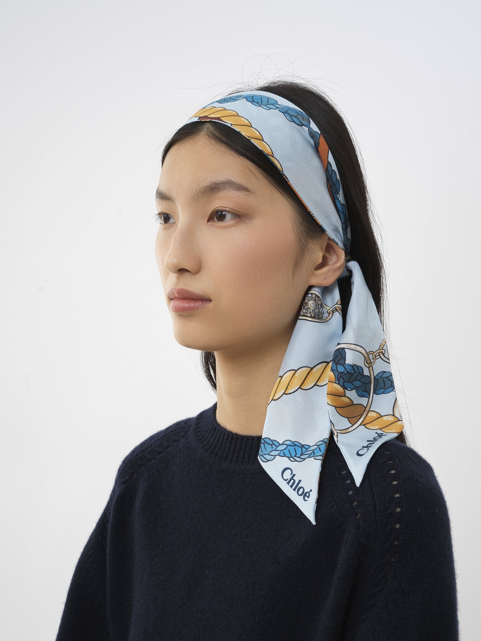 SIGNATURE BANDEAU SCARF - 4