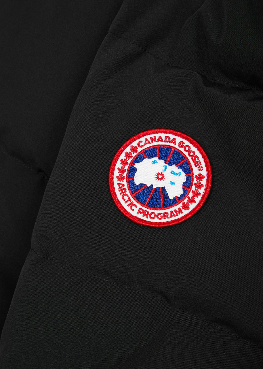 Freestyle quilted Artic-Tech gilet - 5