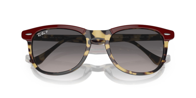 Ray-Ban EAGLE EYE outlook