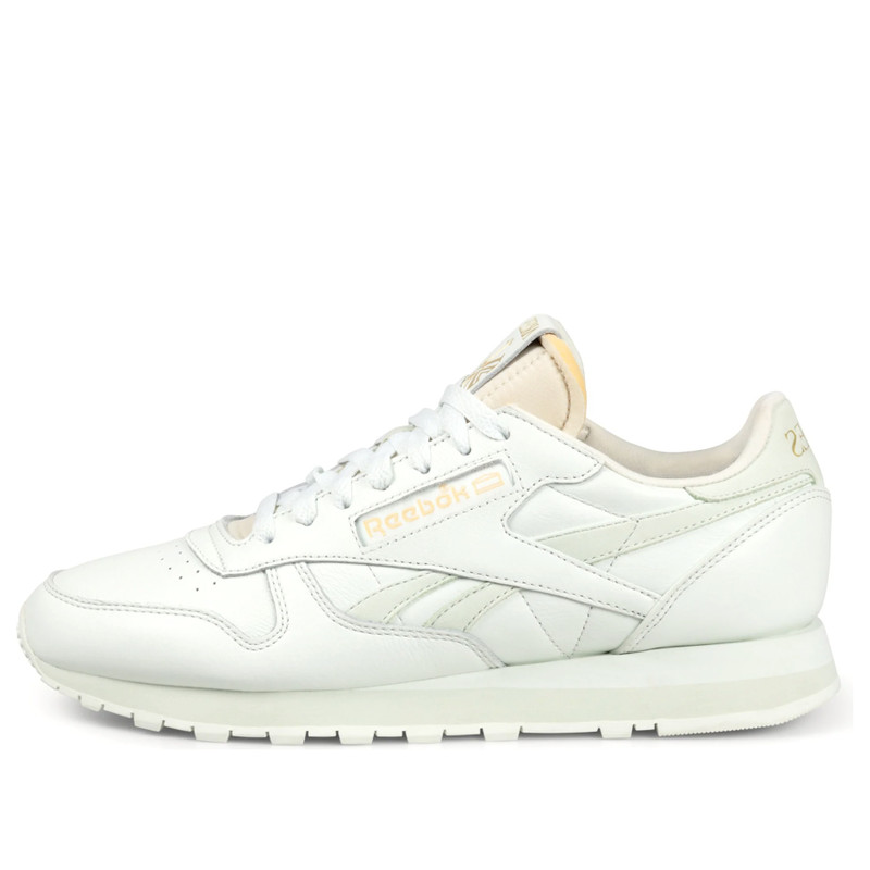 Reebok x Aries Classic Leather 'Mystic Shoes' 100201988 - 1