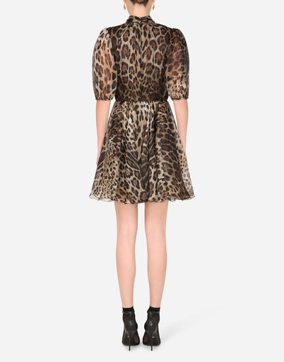 Dolce & Gabbana Short leopard-print organza dress outlook