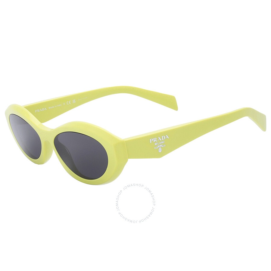 Prada Dark Gray Oval Ladies Sunglasses PR 26ZS 13L08Z 55 - 4
