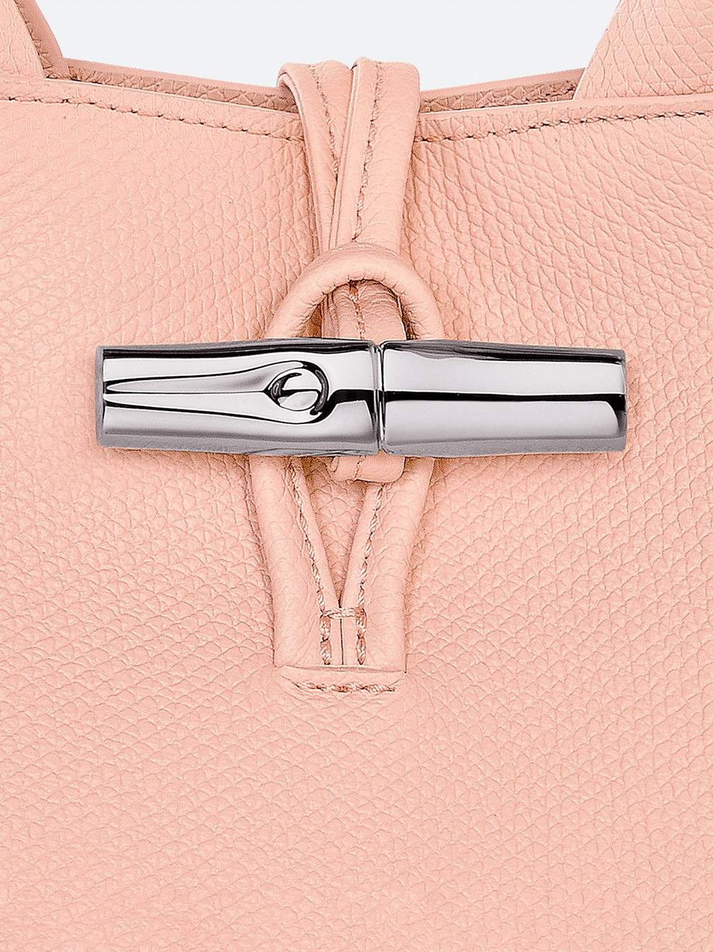 `Le Roseau` Small Handbag - 2