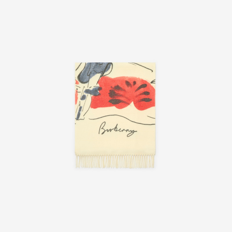 Watercolour EKD Cashmere Scarf 4