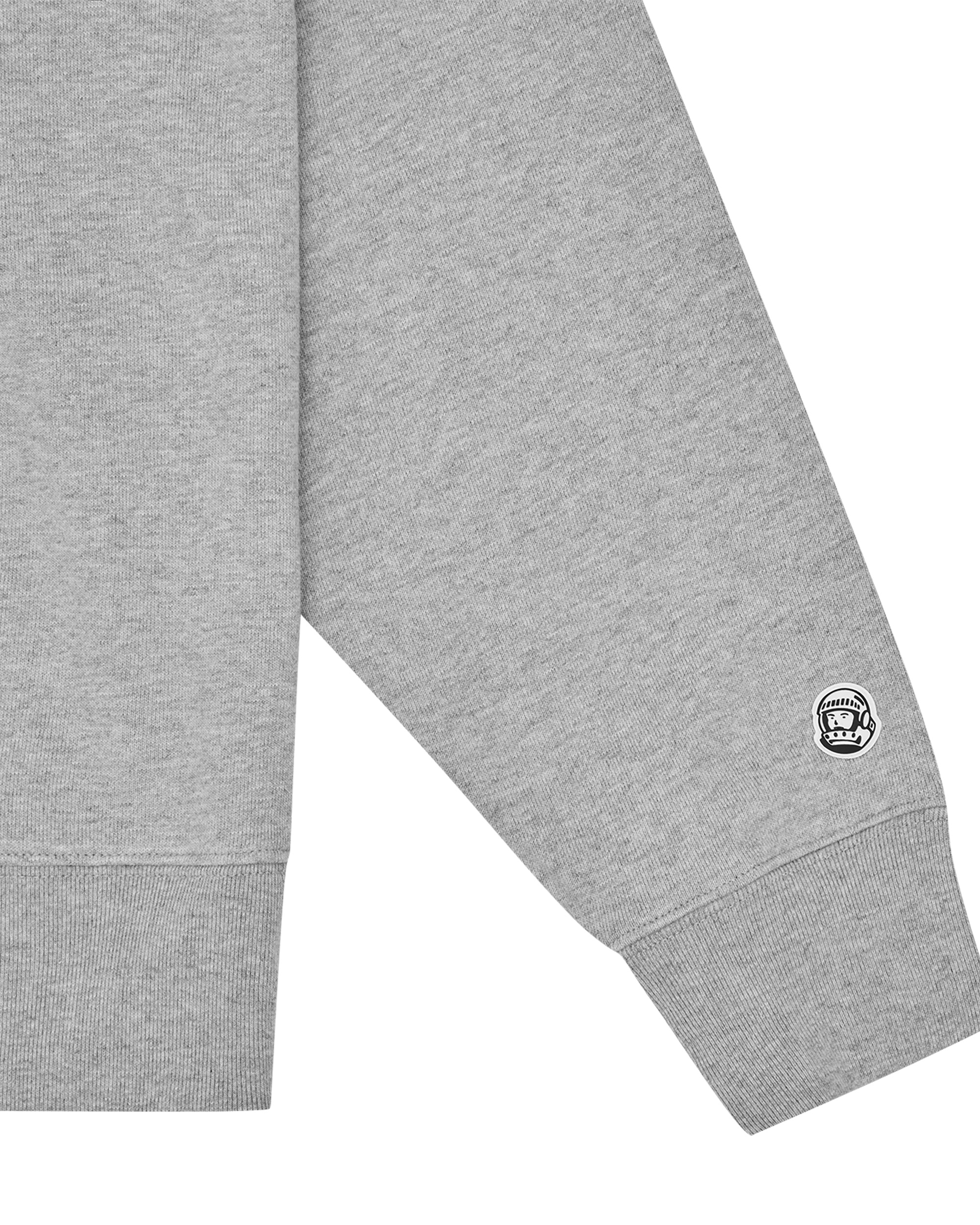 MOUNTAIN FILL ARCH LOGO POPOVER HOOD - 4