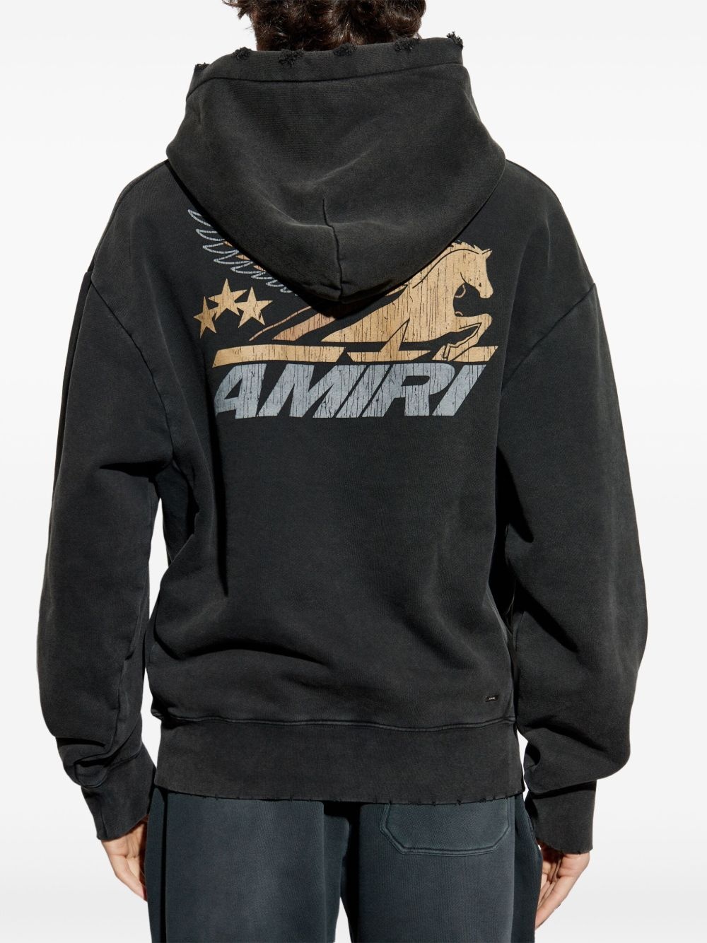 Pegasus hoodie - 4
