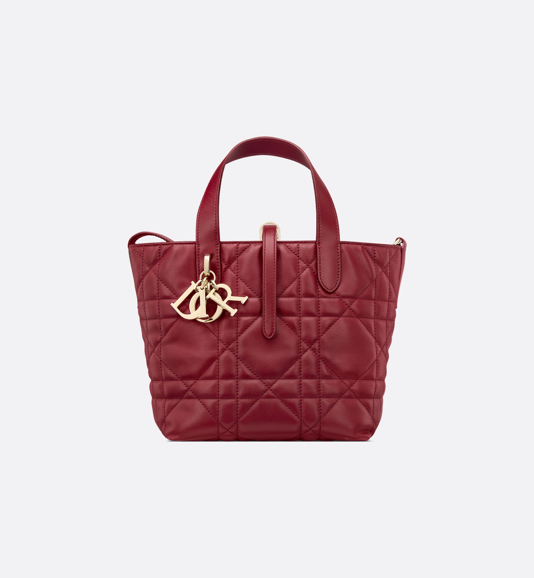 Small Dior Toujours Vertical Tote Bag - 3