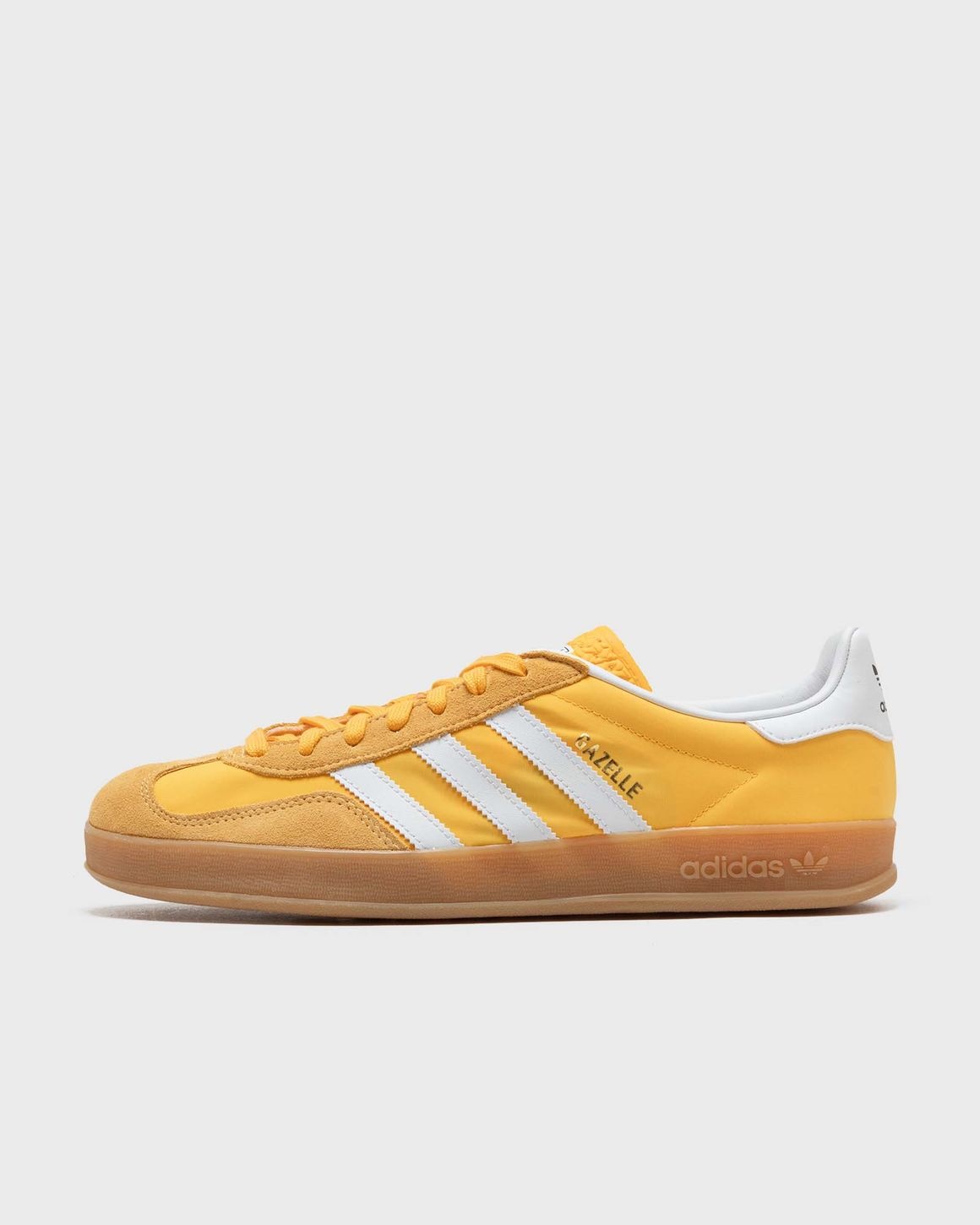 GAZELLE INDOOR - 1