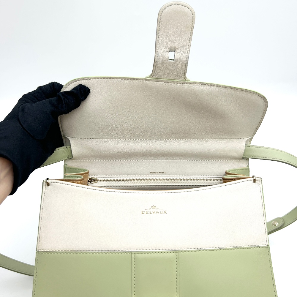 Delvaux - Delvaux Mint Briand MM - 16