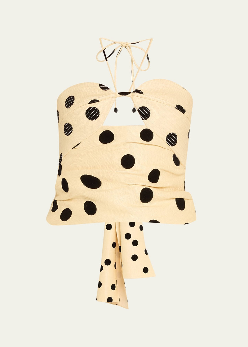 Well Thought Polka Dot Halter Crop Top 1