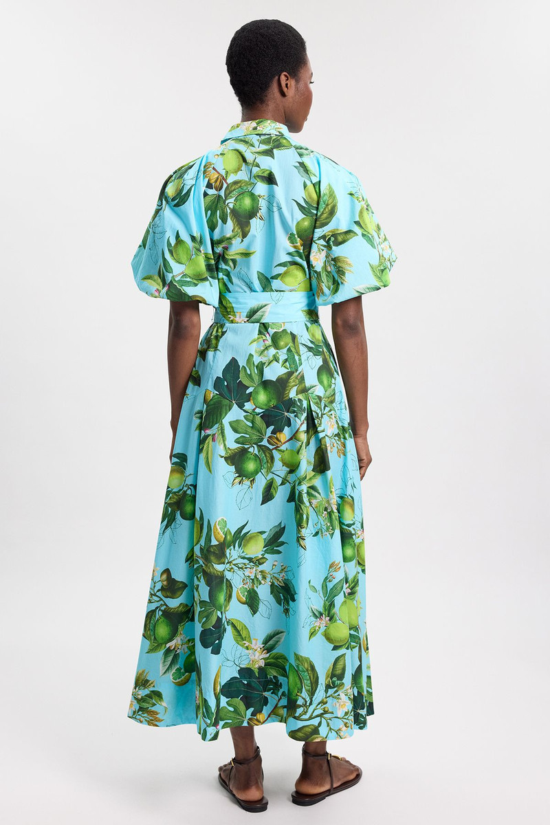 Petite Lime Print Cotton Puff Sleeve Woven Midi Shirt Dress With Dropped Waist Detail 3