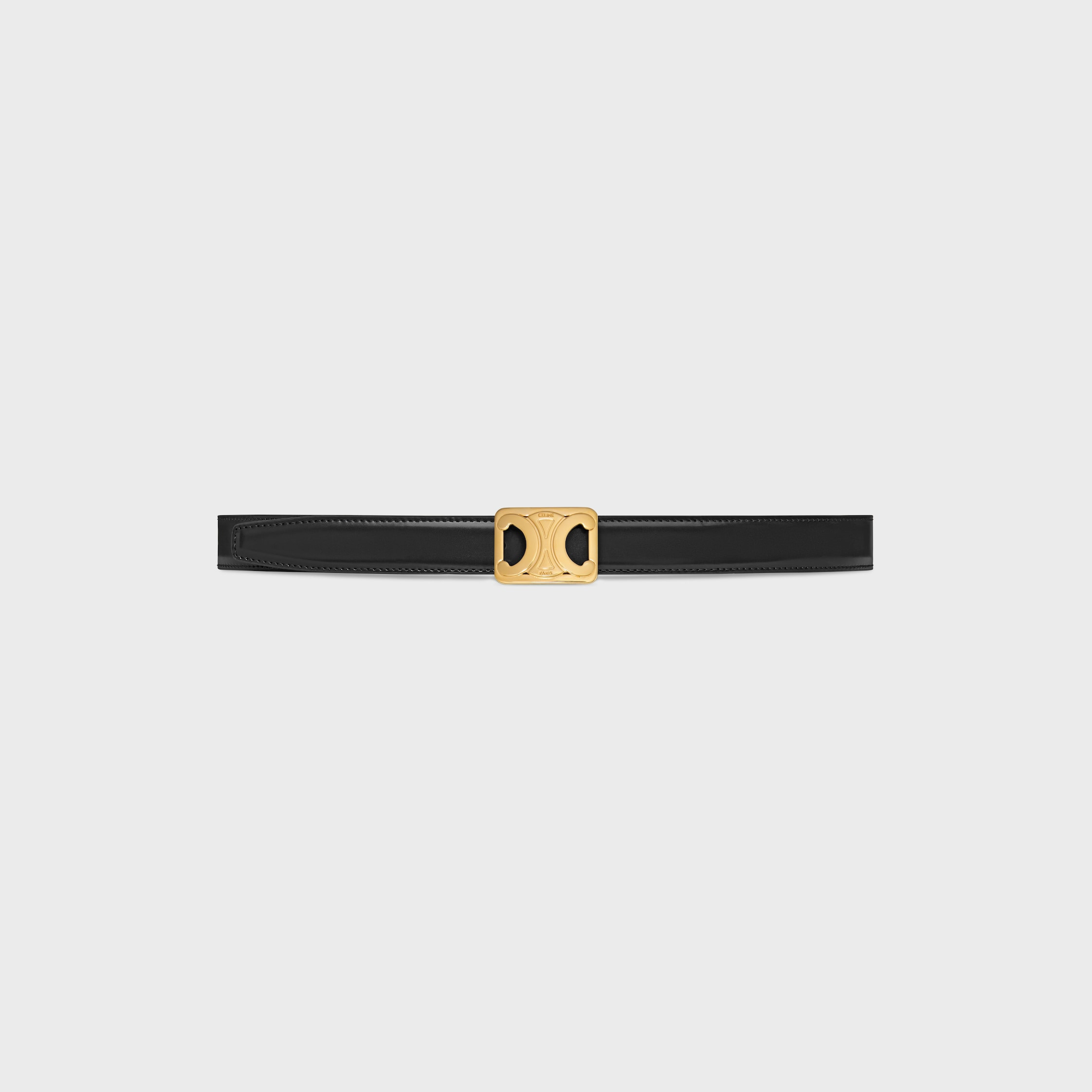 MEDIUM REVERSIBLE FRAMED TRIOMPHE BELT in TAURILLON AND LIZARD EMBOSSED CALFSKIN - 4