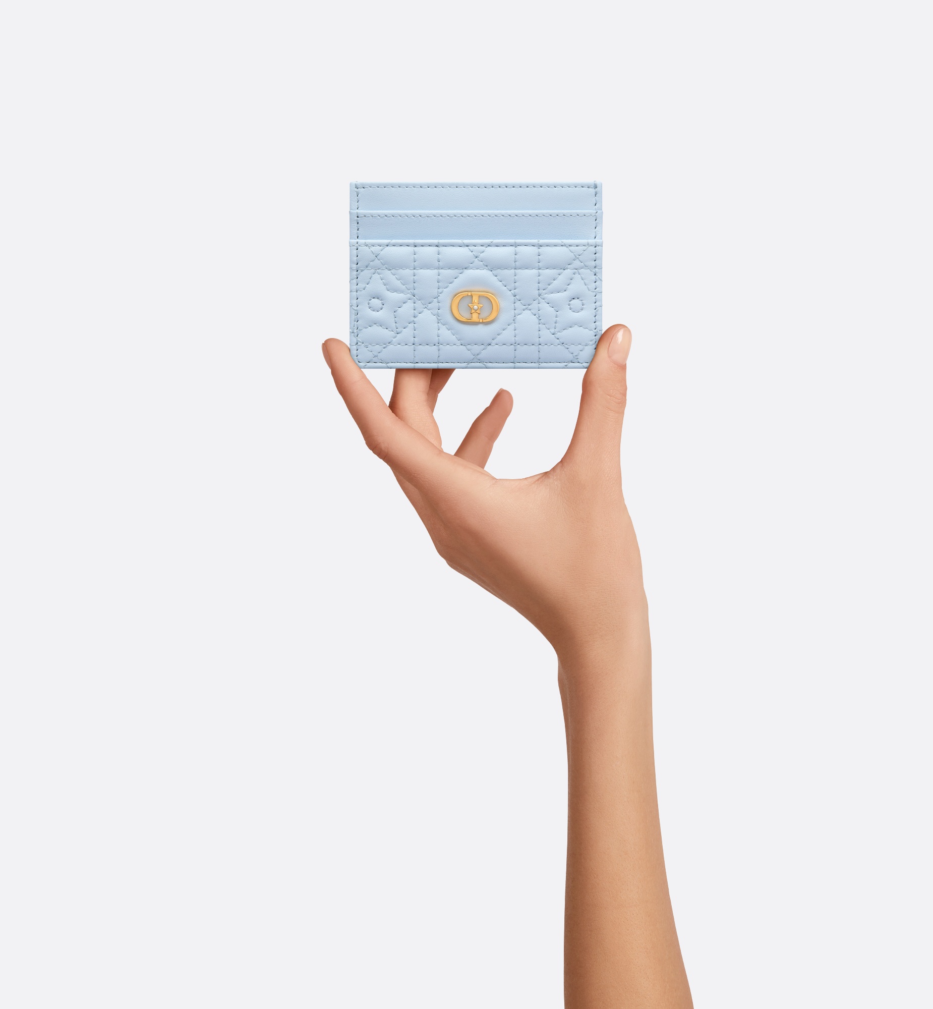 Dior Caro Freesia Card Holder - 3