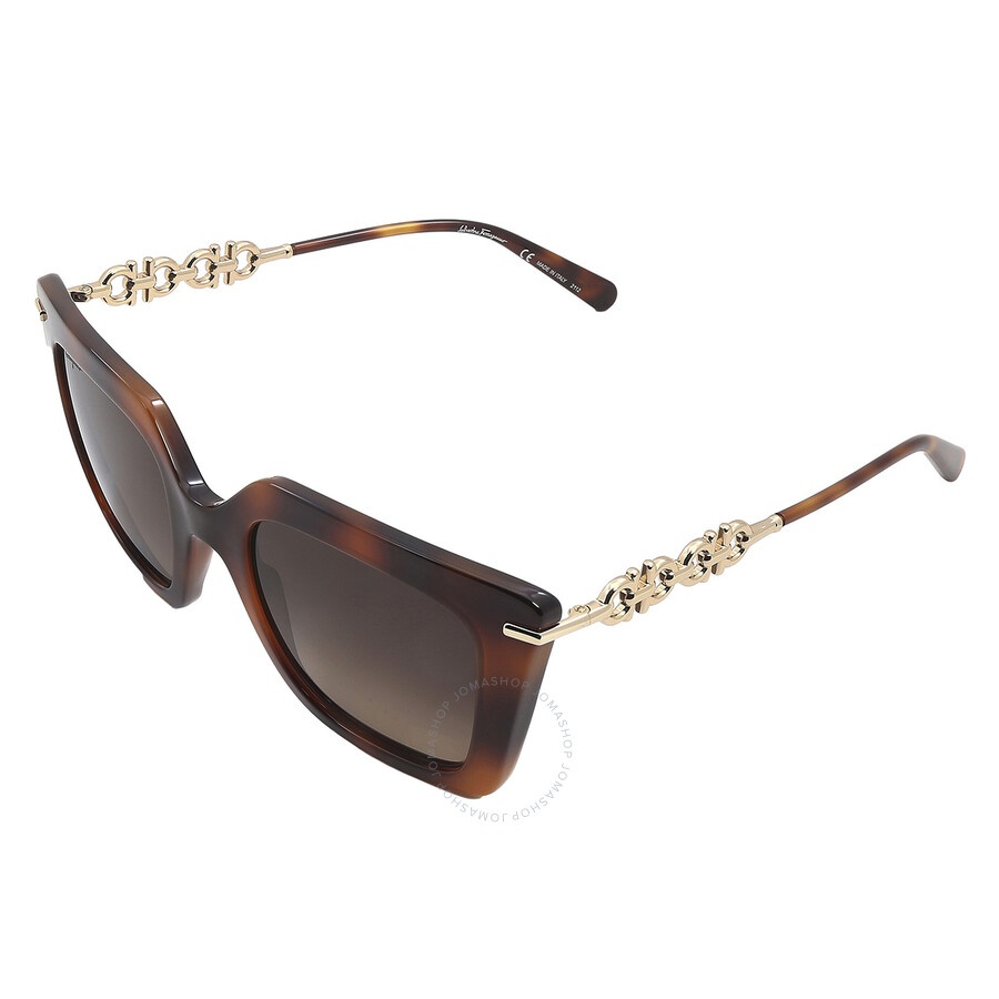 Salvatore Ferragamo Brown Gradient Butterfly Ladies Sunglasses SF1041S 238 51 - 4