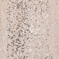 Jenny Packham Jourdain Sequin-Embellished Gown in Sugar at Nordstrom - 8