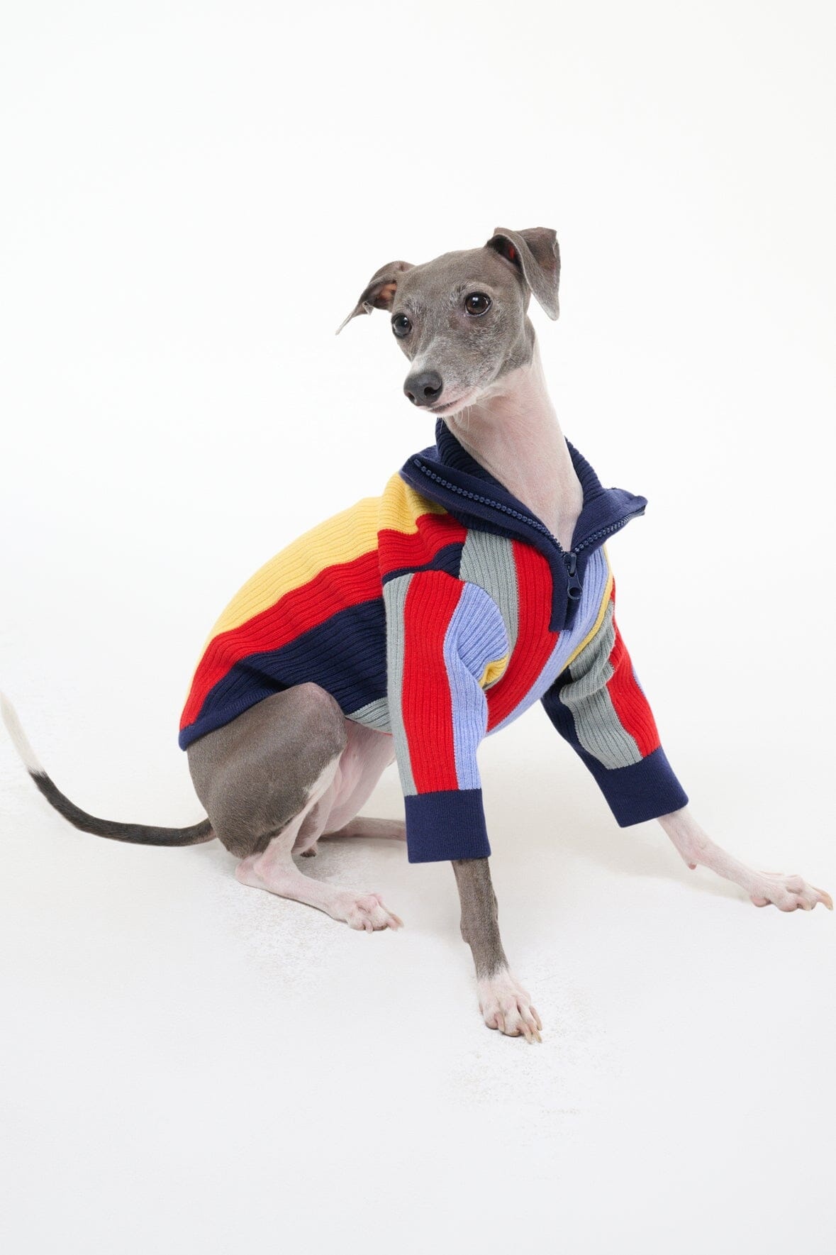 STAUD PET HAMPTON SWEATER MARKET STRIPE - 2