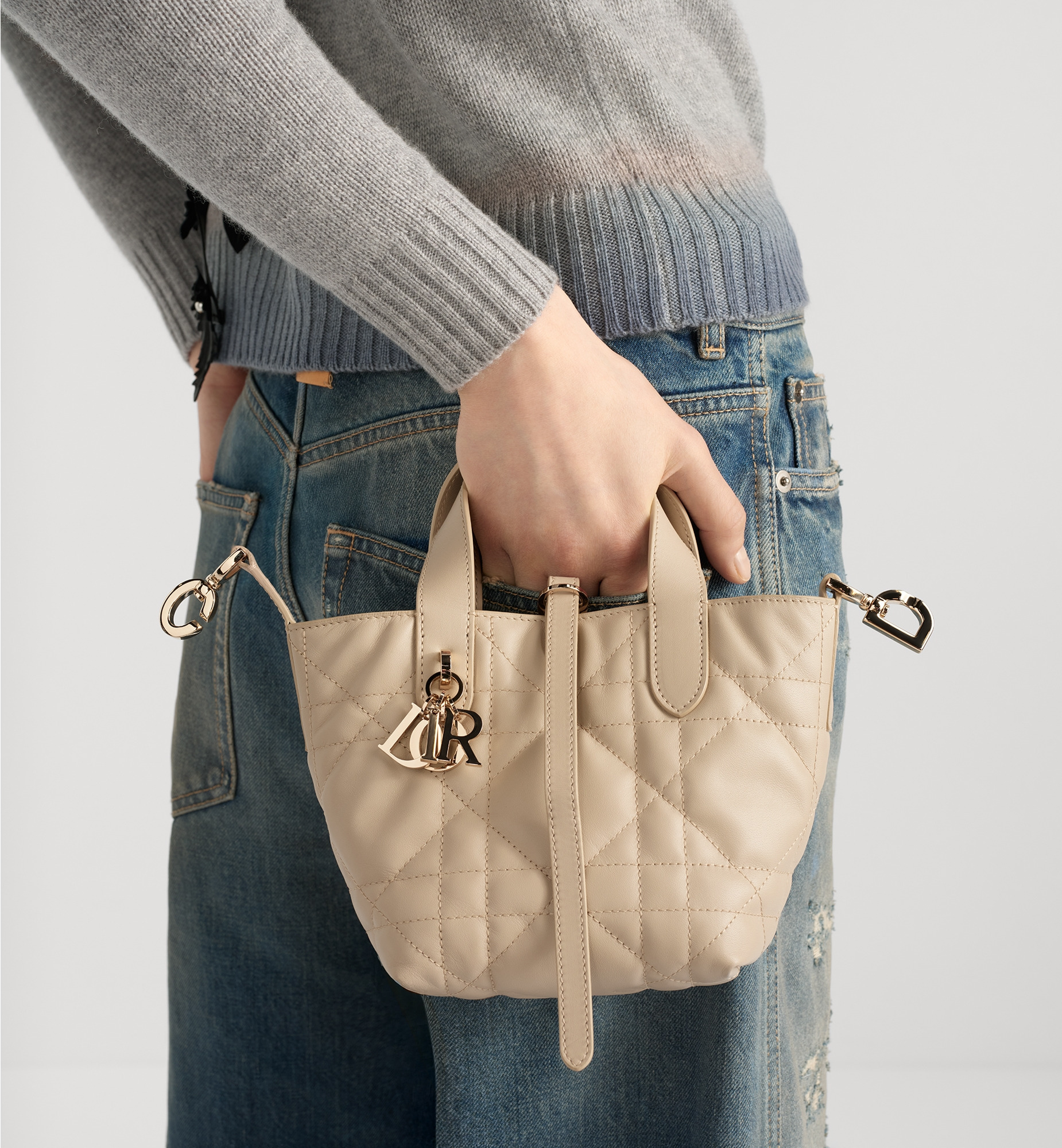 Dior Toujours Vertical Nano Tote Bag - 6