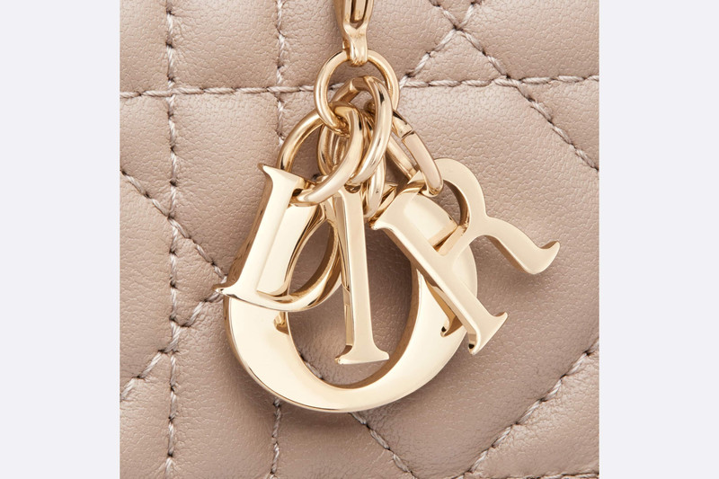 Lady Dior 5-Gusset Card Holder 5