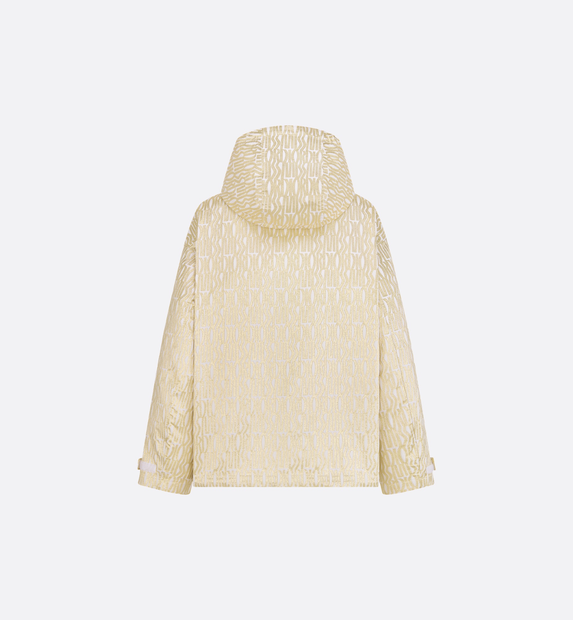 Dior Or Waterproof Hooded Jacket - 2