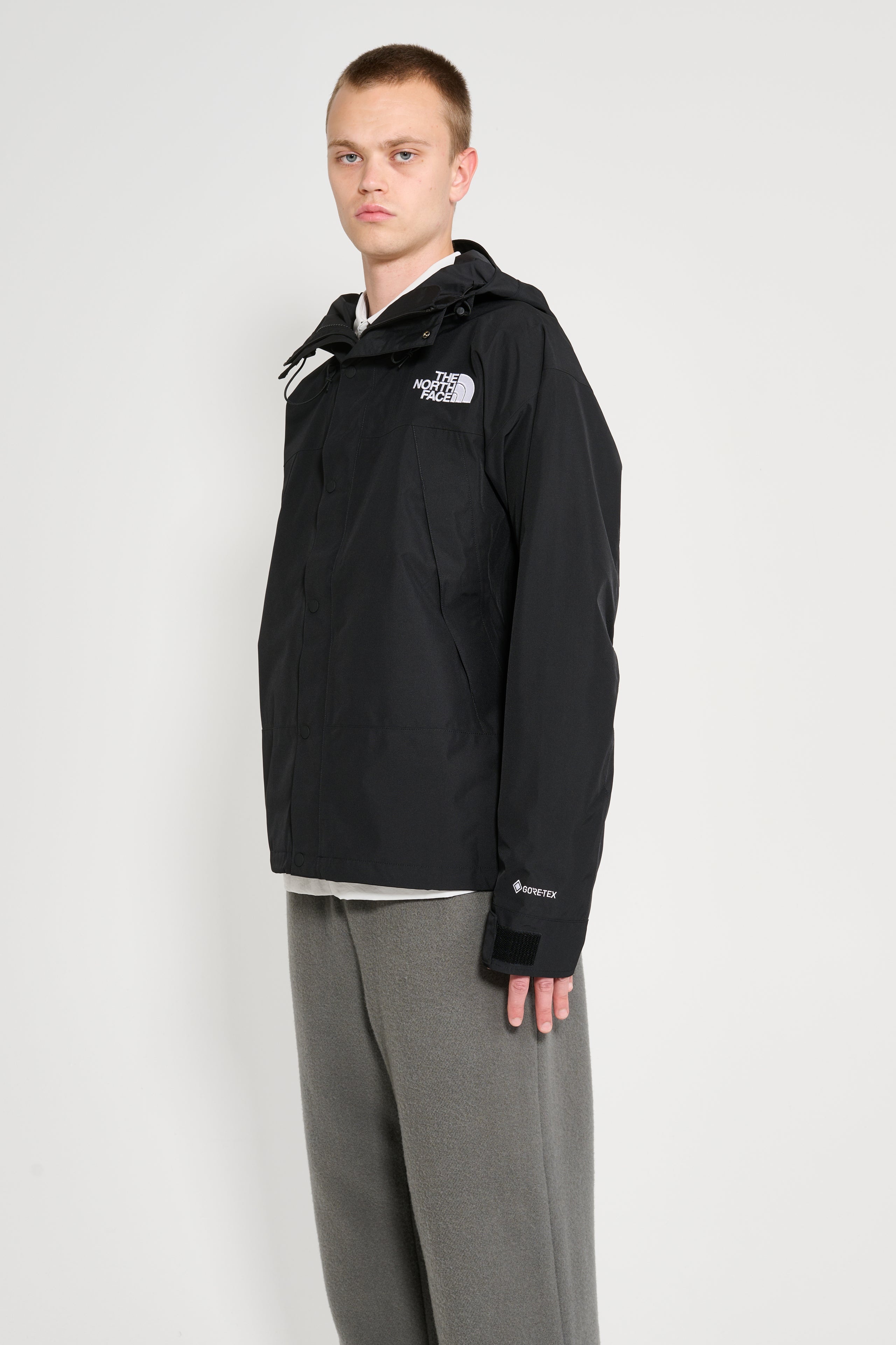 THE NORTH FACE GTX MOUNTAIN JACKET TNF BLACK - 2