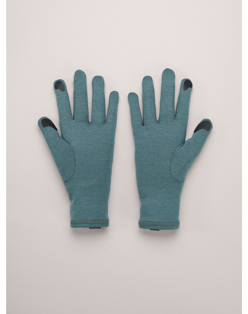 Arc'teryx Gothic Glove outlook
