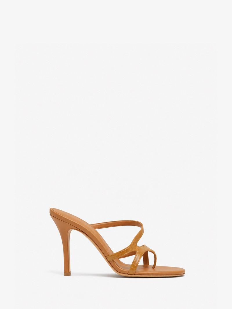 Calathea Heel 1