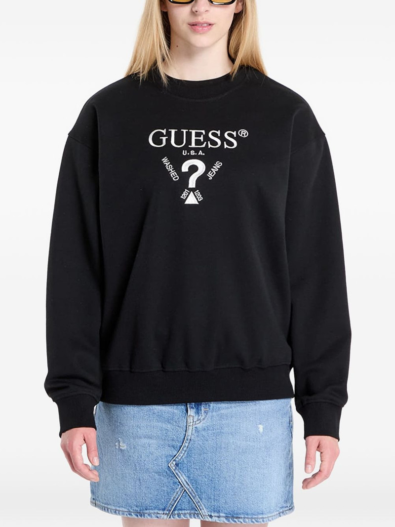 embroidered sweatshirt 1