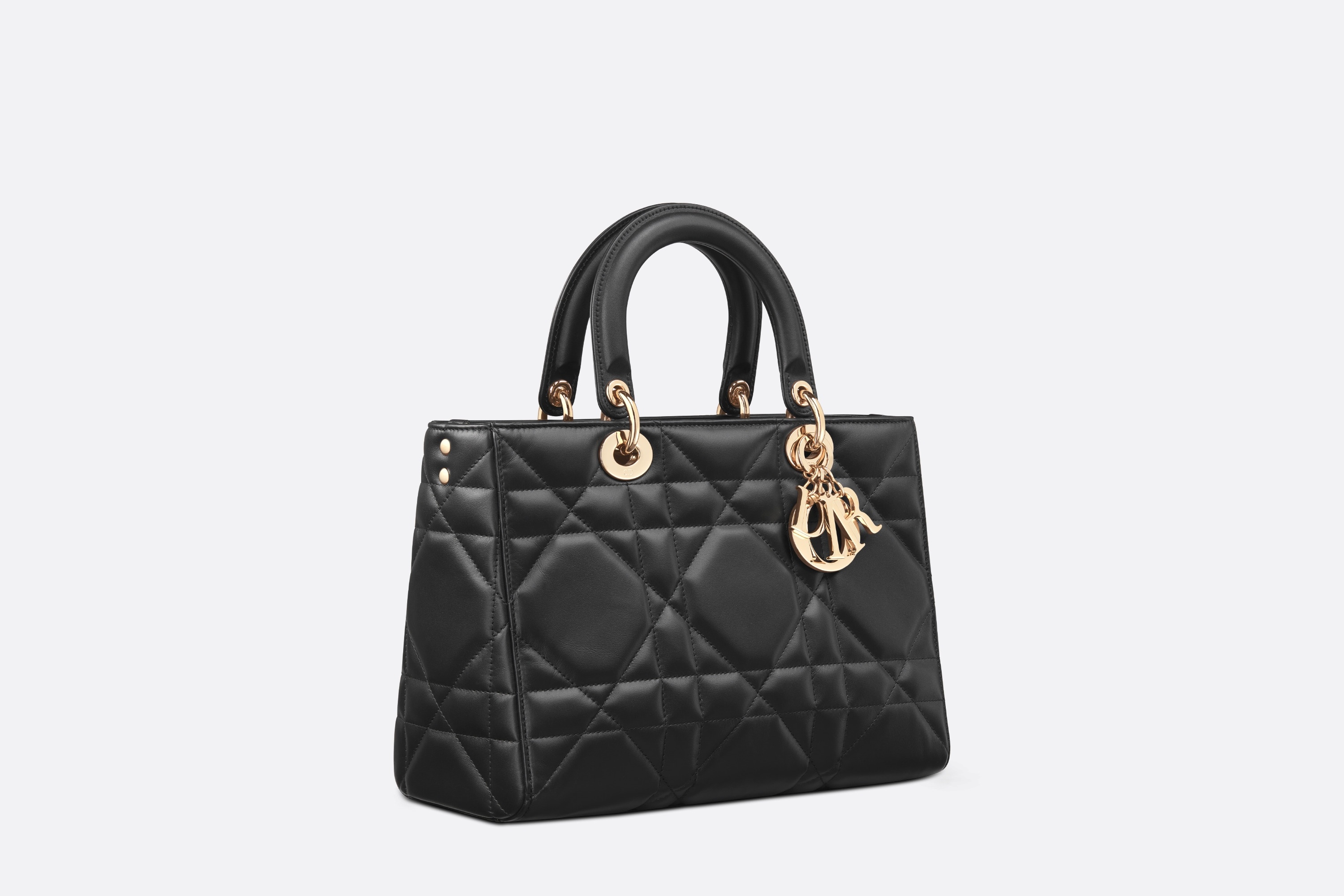 Medium Lady D-Sire My ABCDior Bag - 6