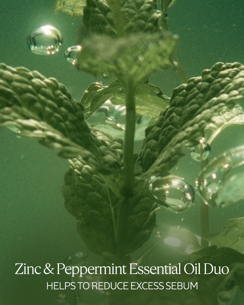 Purifying Freshness Conditioner 4