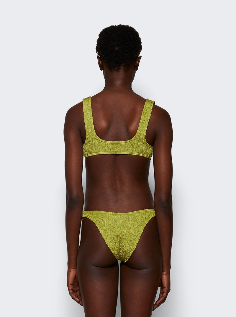 Ring Scout Crop Herbal Shimmer 5