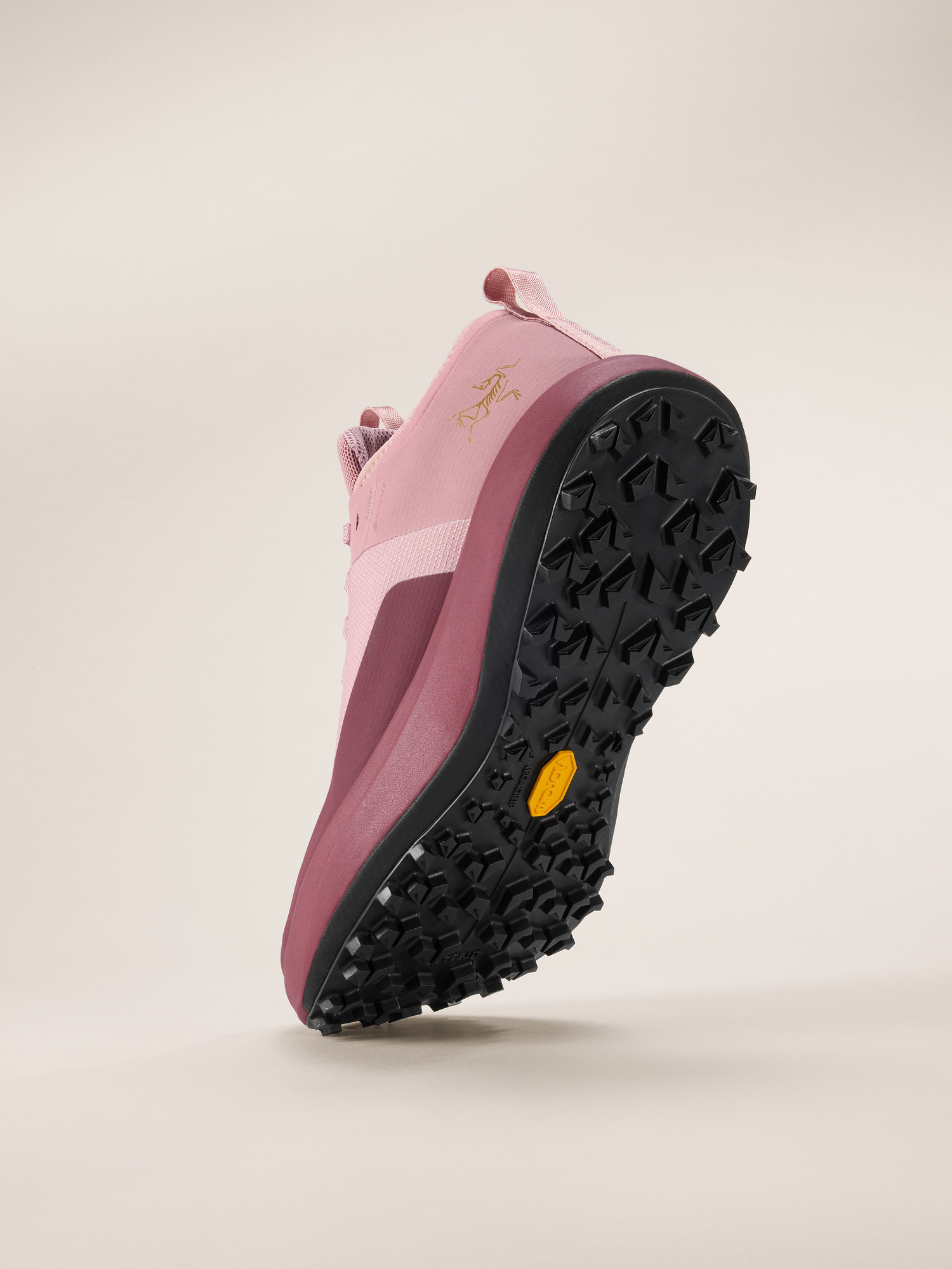 Sylan GTX Shoe - 4