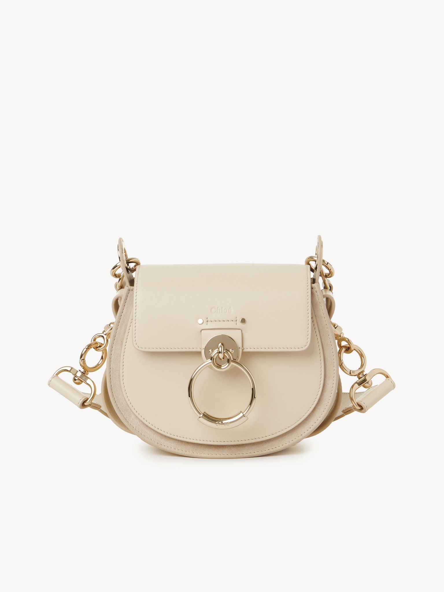 SMALL TESS BAG IN SHINY & SUEDE LEATHER - 1