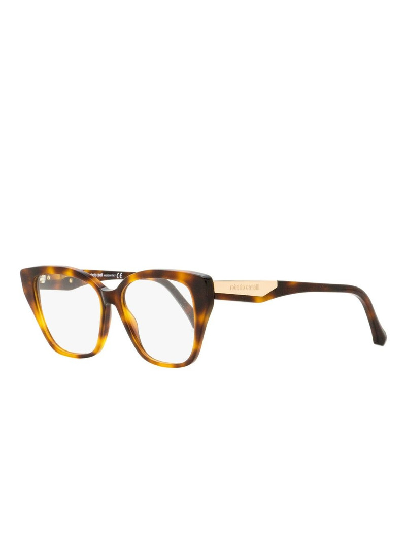 Roberto Cavalli 5083 glasses outlook