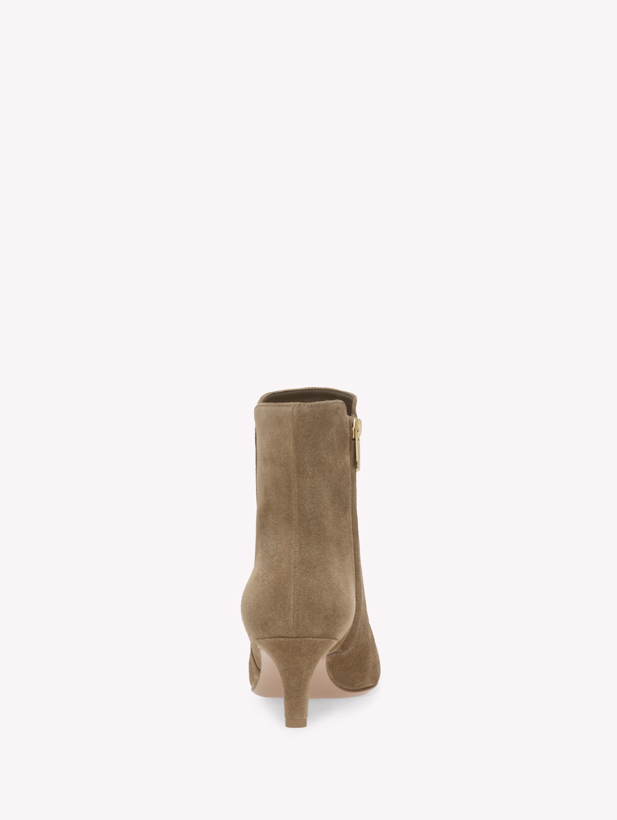Gianvito Rossi Levy 55 Booties in Brown Suede at Nordstrom - 4