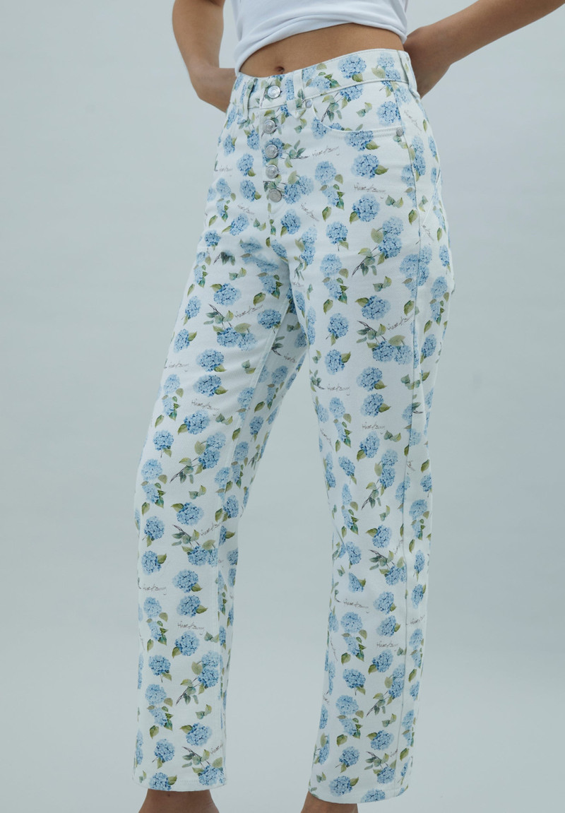 HYDRANGEA JESSIE JEANS 1