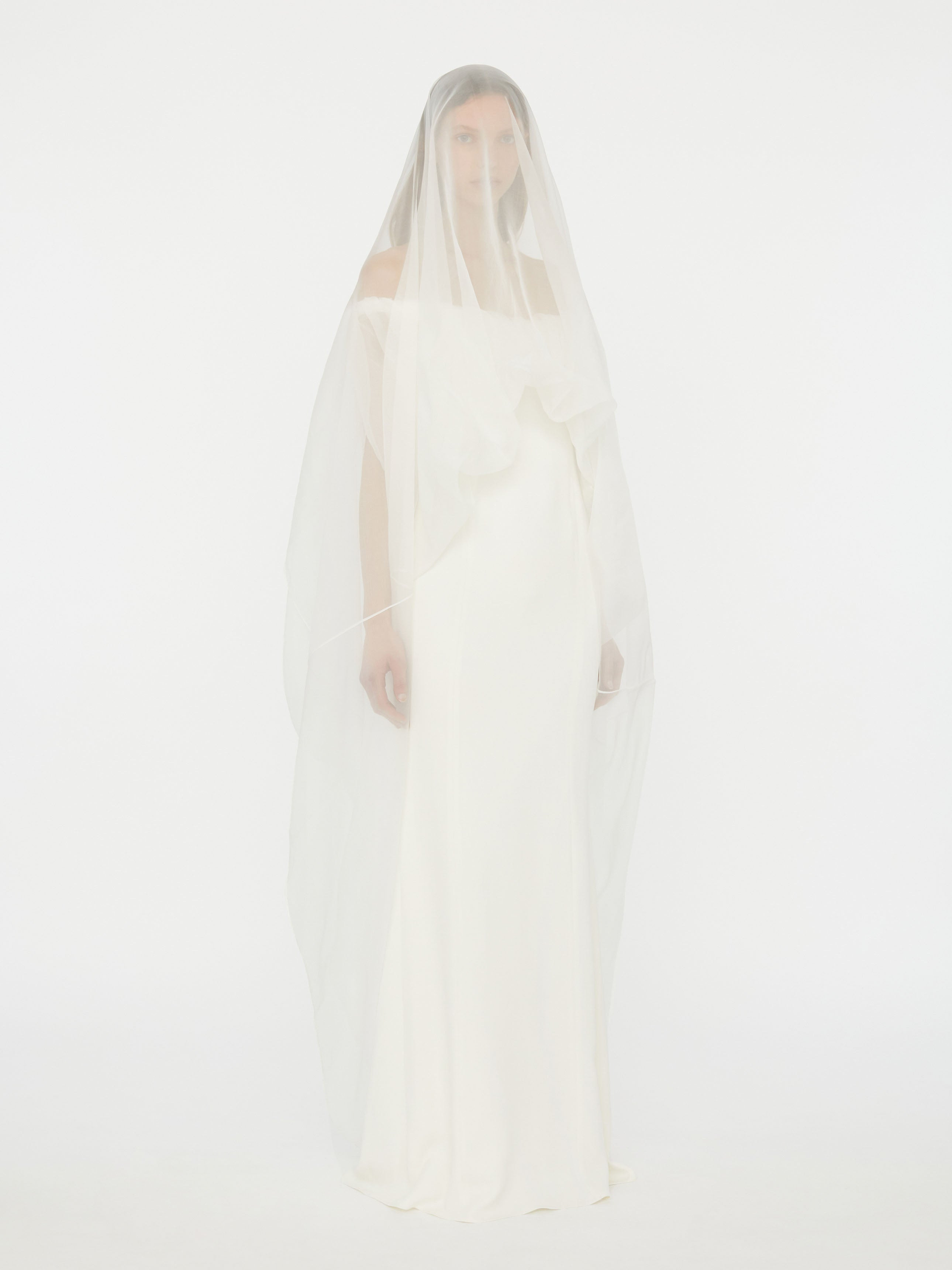 Vapour Overlay Silk Gown - 3