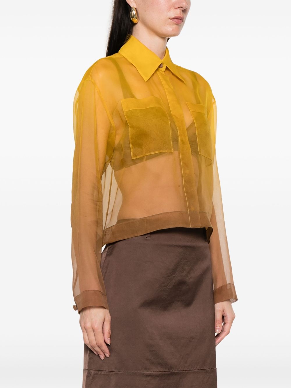 semi-sheer shirt - 3
