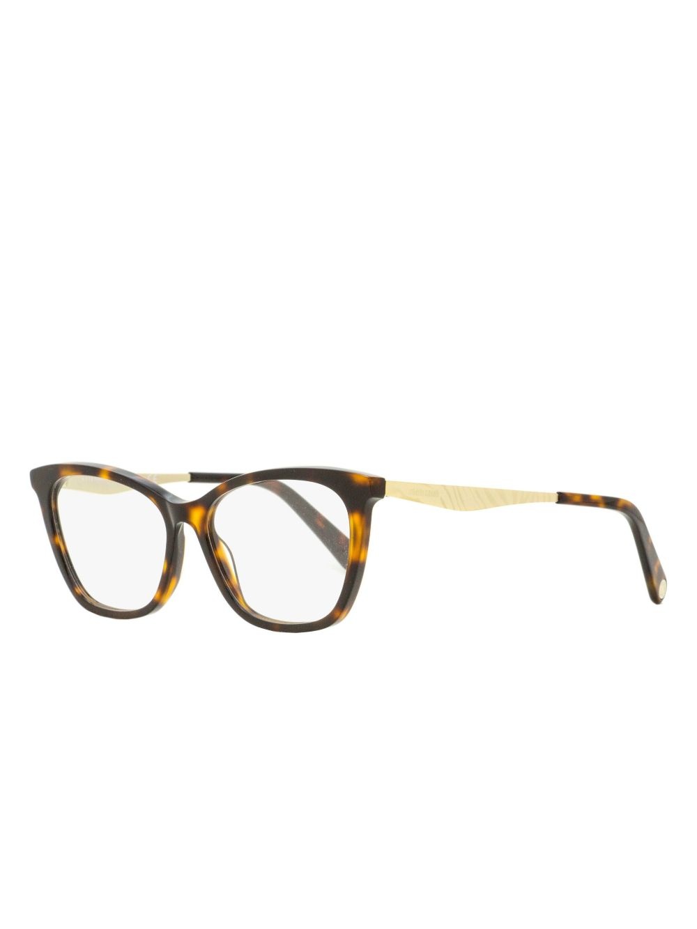 tortoiseshell frames - 2