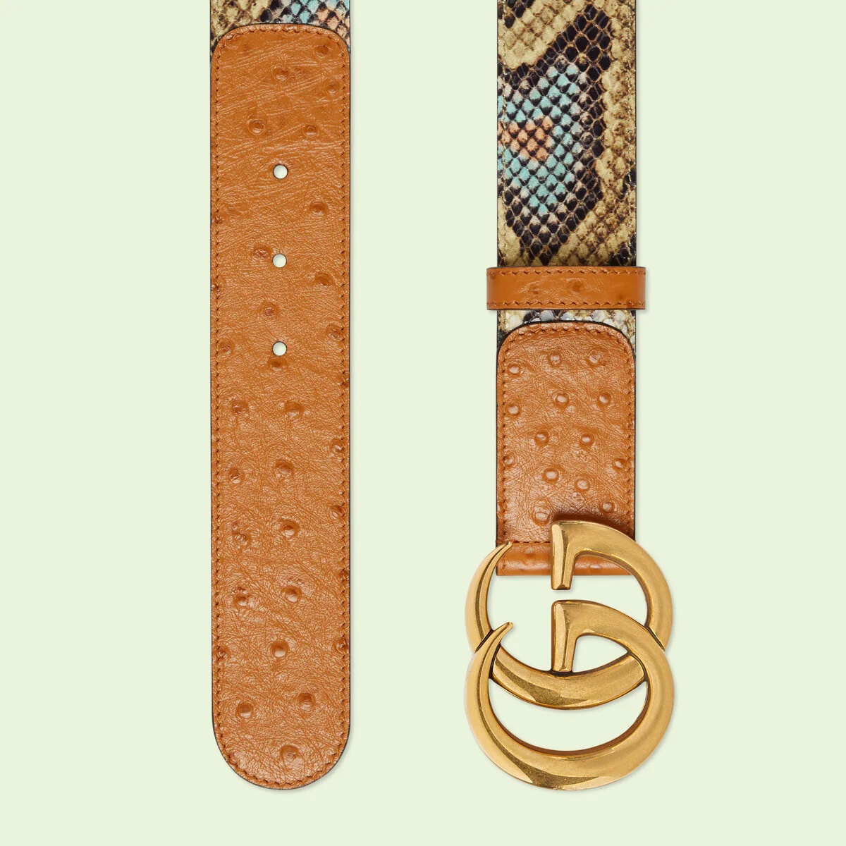 Gucci Marmont Belt in Python & Ostrich leather Gg buckle ostrich belt Gucci Brown size 95 cm in Ostrich  main image 4
