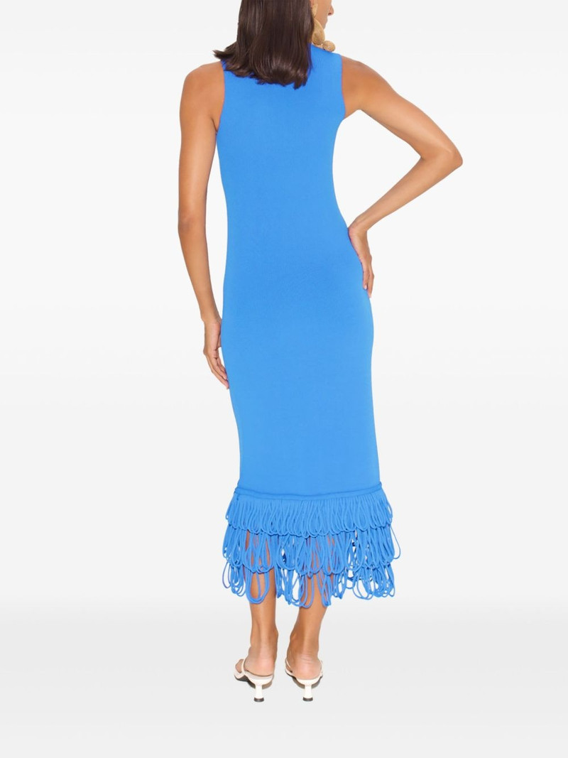 Albers dress 4