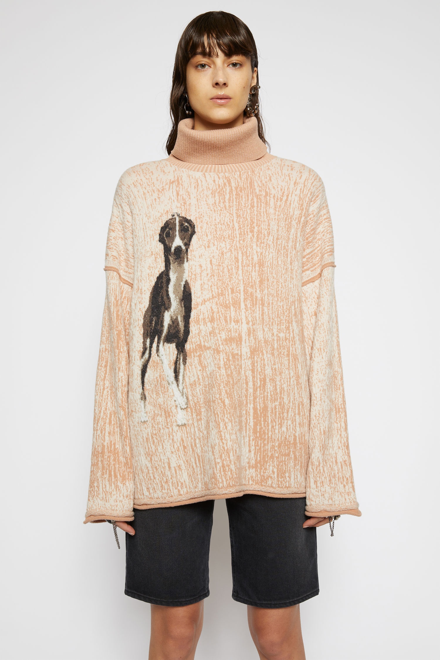 Dog-intarsia sweater warm beige/multi - 2