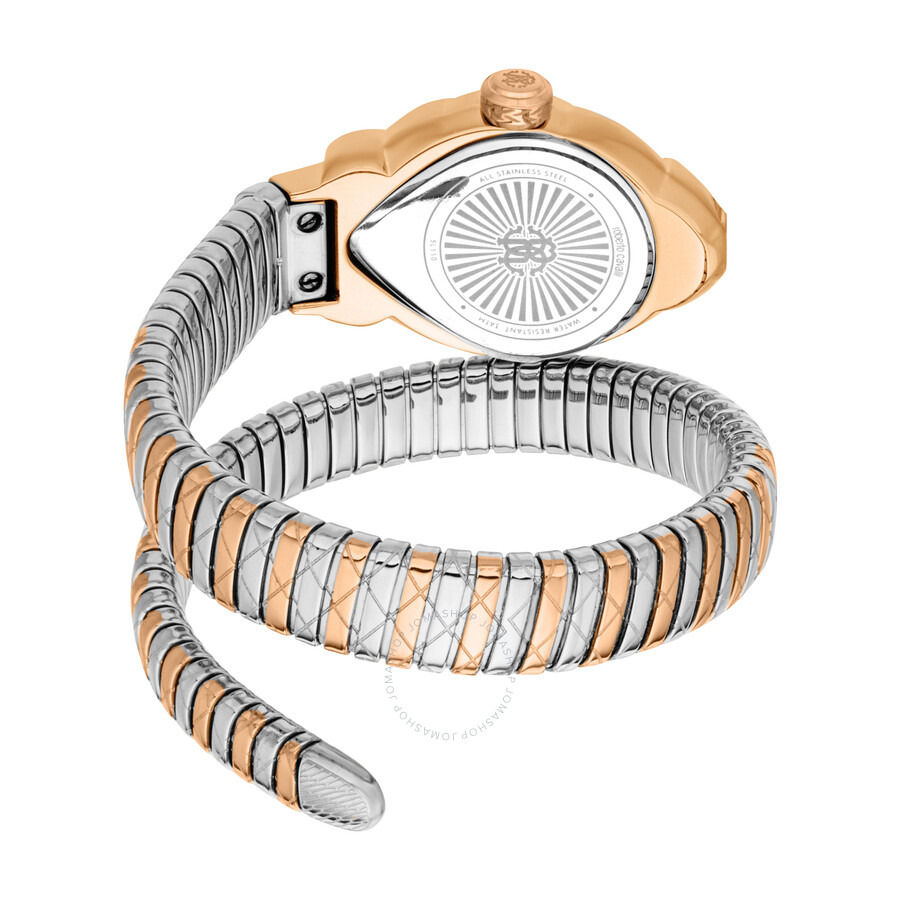 Roberto Cavalli Fiaba Silver-tone Dial Ladies Watch RC5L110M0085 - 2