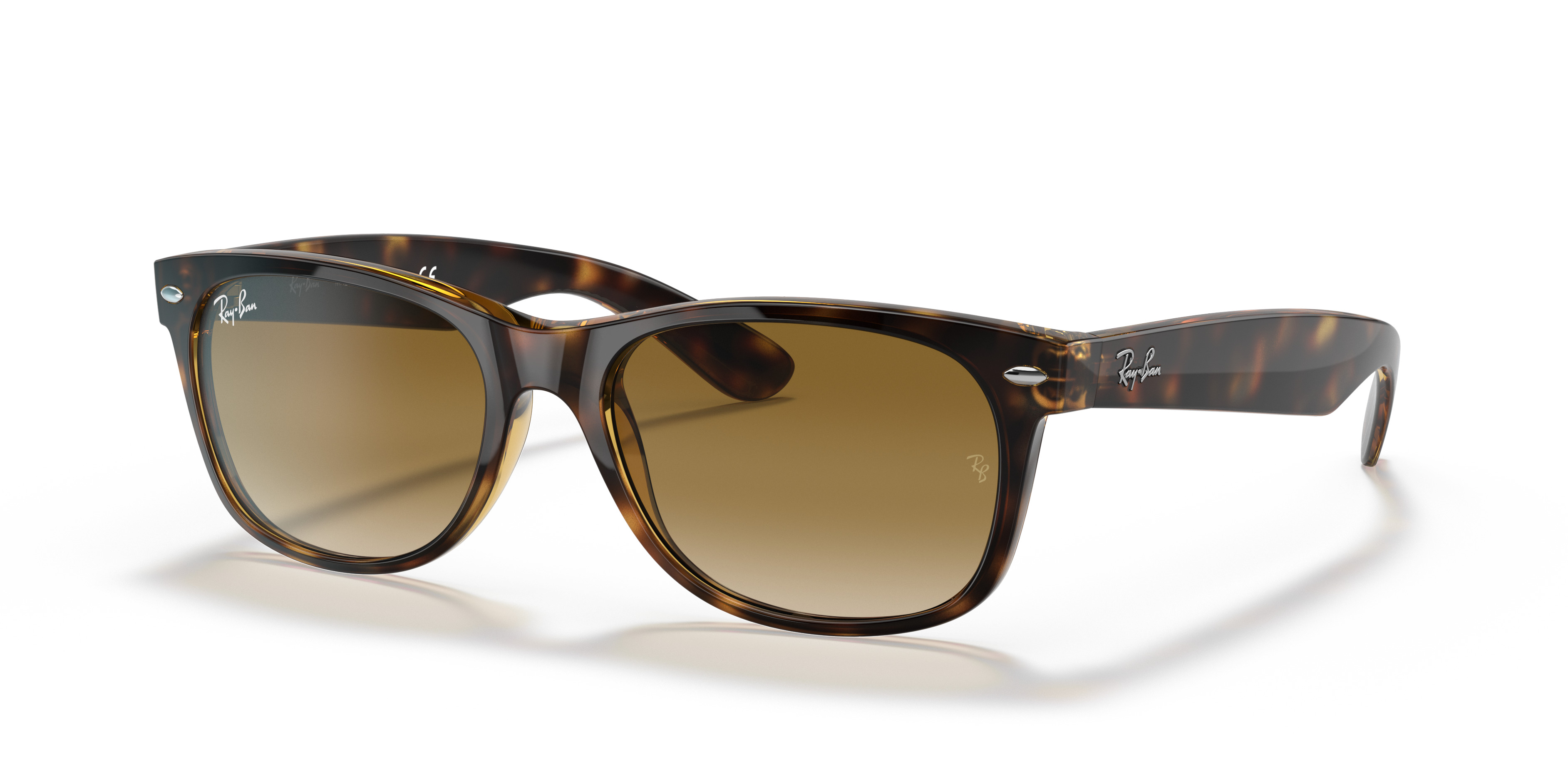 NEW WAYFARER CLASSIC - 1