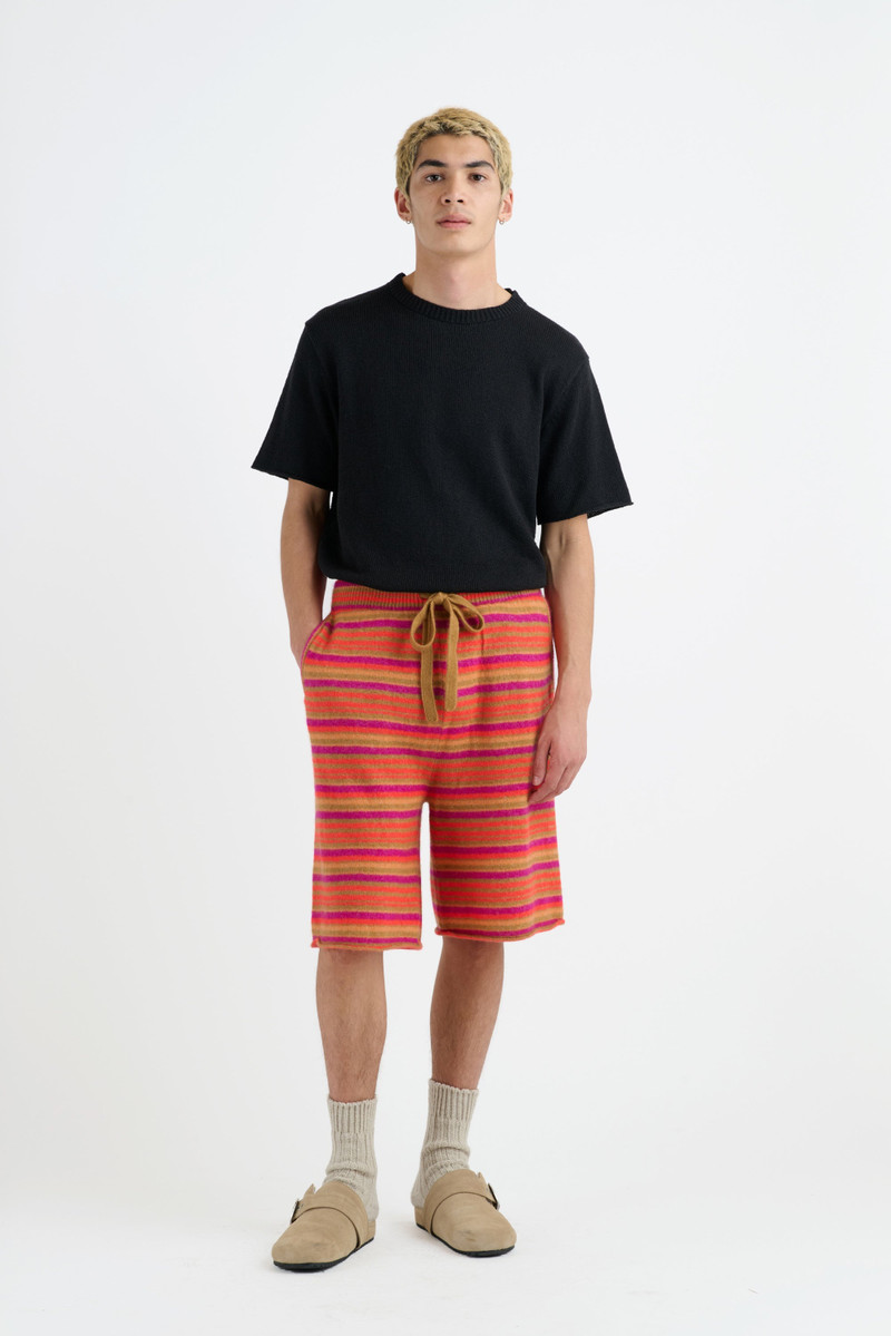 The Elder Statesman PLANAR STRIPE SHORT outlook
